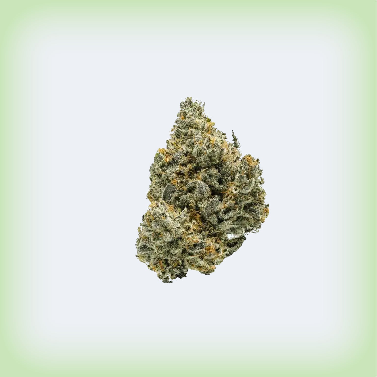 🎈 Runtz OG Premium Flower