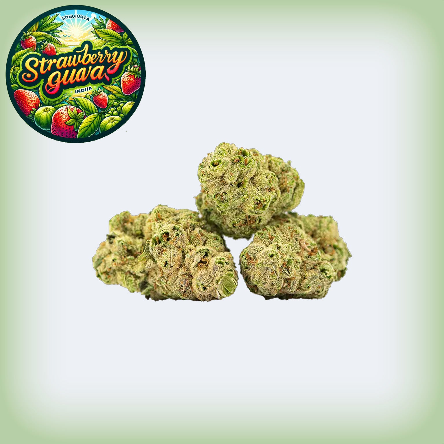 Strawberry Guava THCa Premium Flower