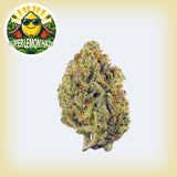 Super Lemon Haze THCa