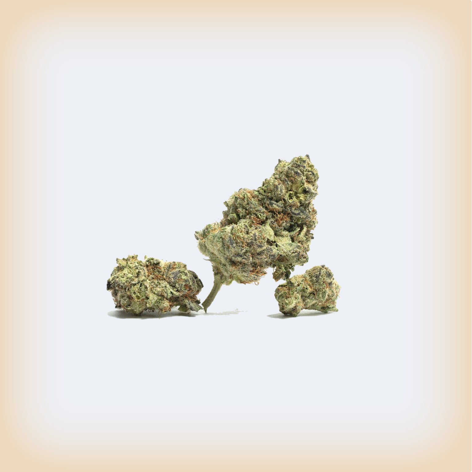 Cake and Bake Premium Flower (Smalls)
