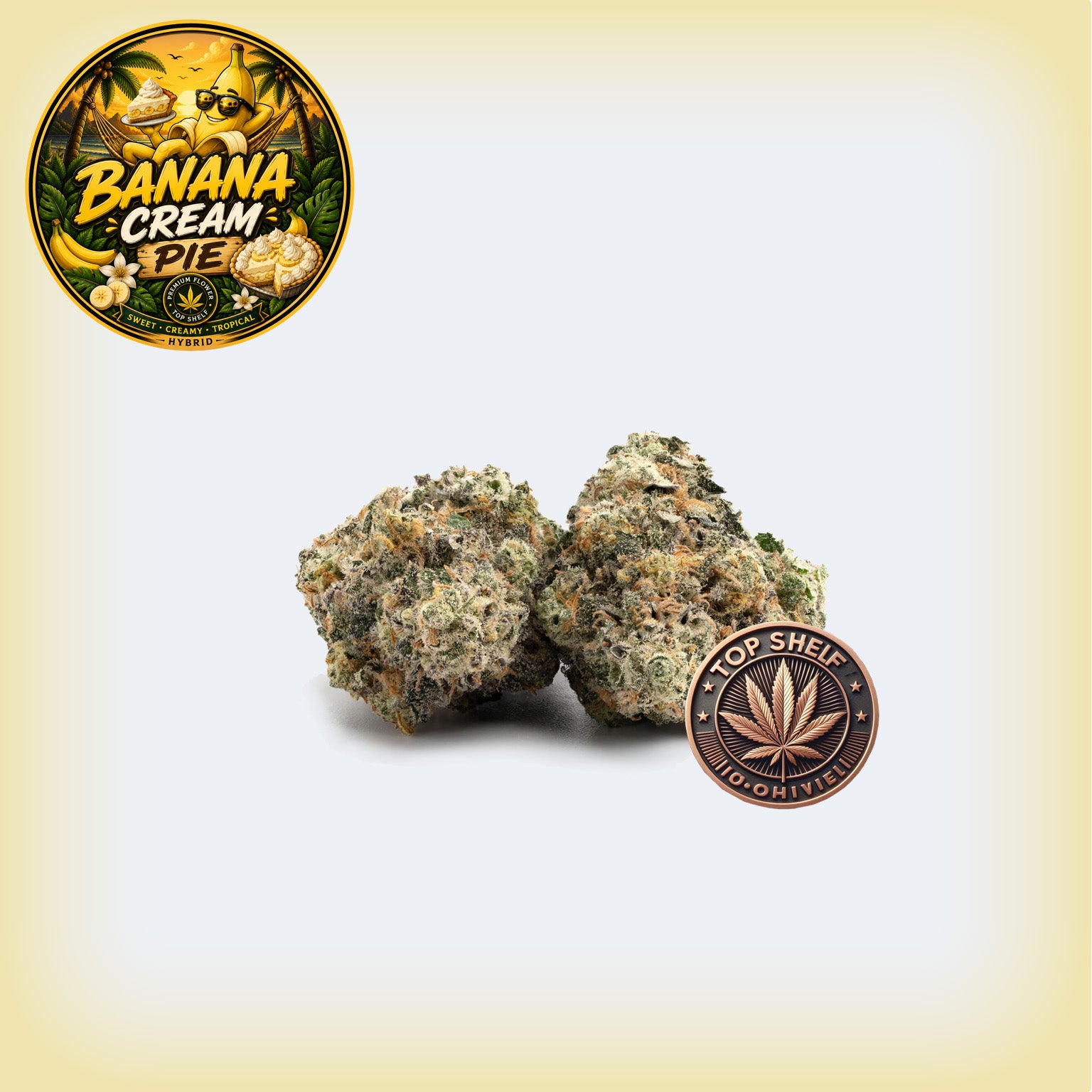 Banana Cream Pie Premium Flower