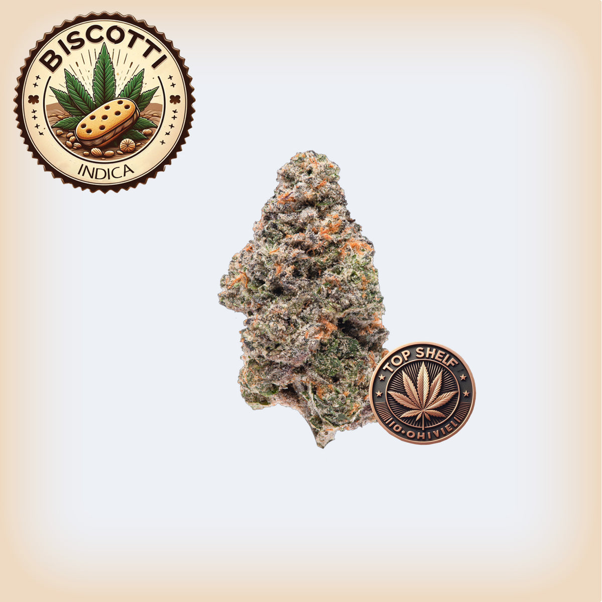 🍪 Biscotti THCA Flower