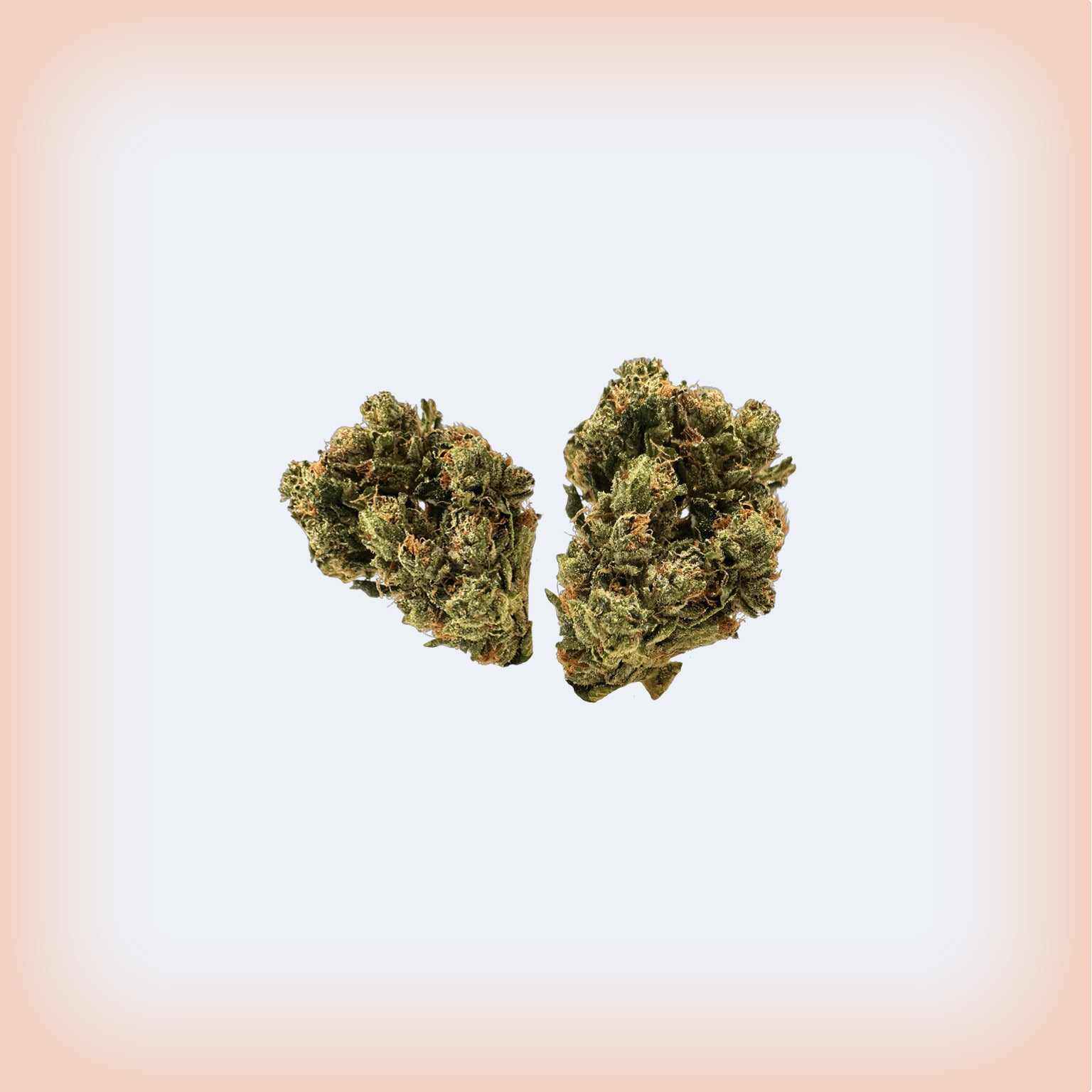 🔥 Fire OG Premium Flower (Smalls)