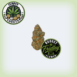 GMO Cookies Flower (OZ Sale)