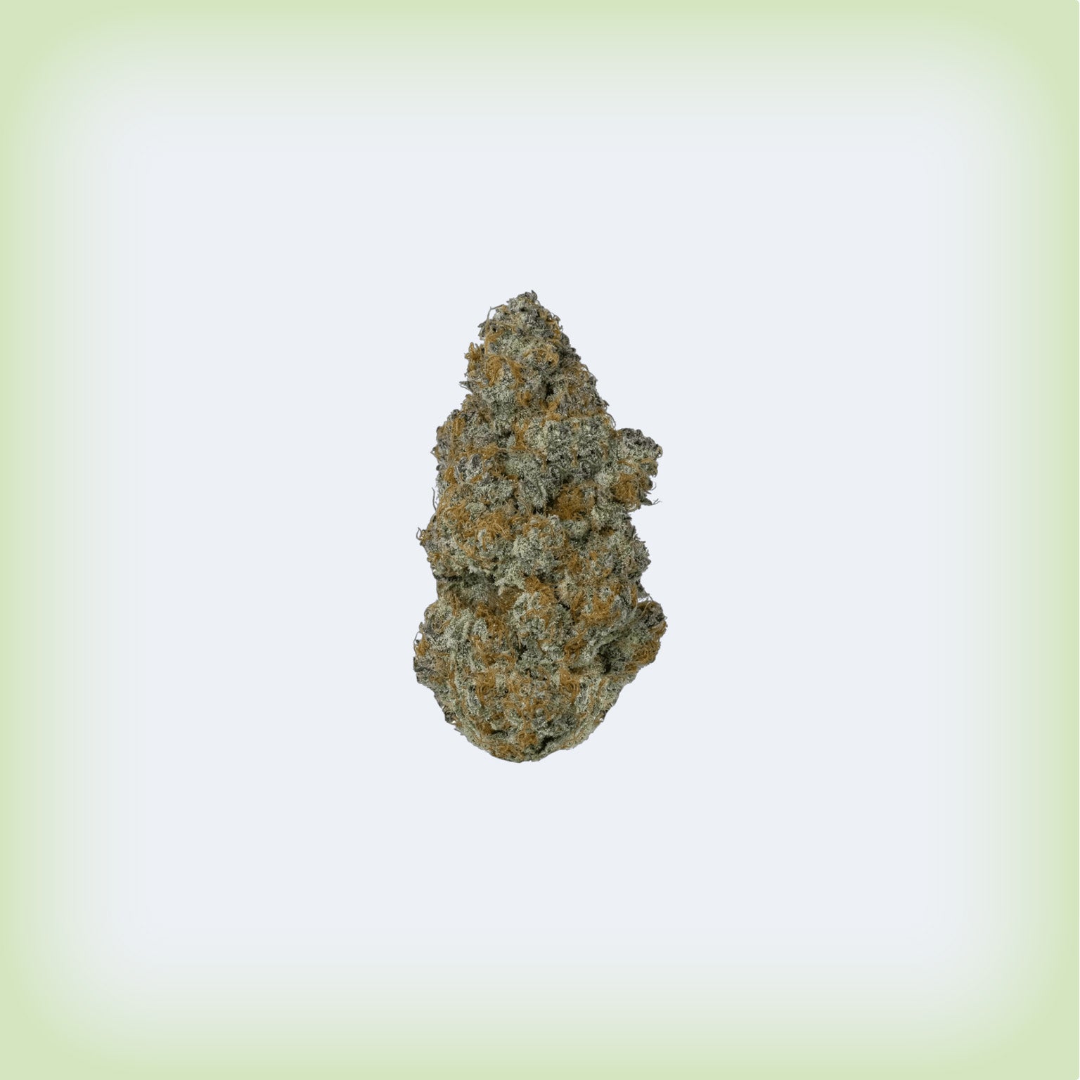 GMO Cookies Premium Flower