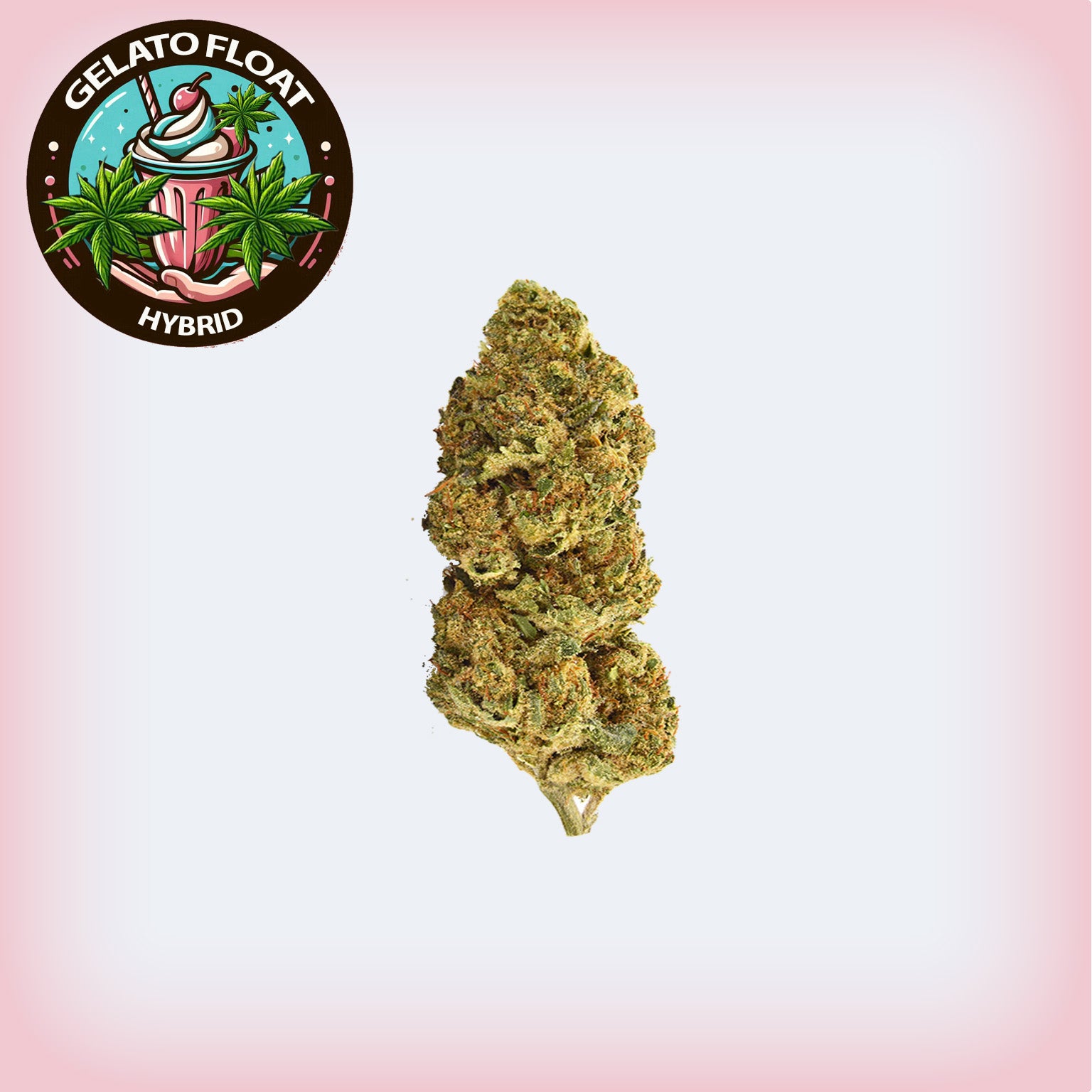 🍨 Gelato Float THCA Ounce Sale