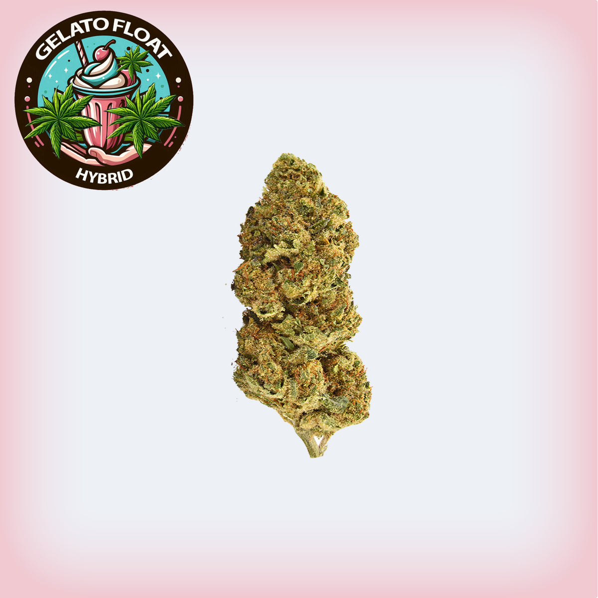 🍨 Gelato Float THCA Ounce Sale