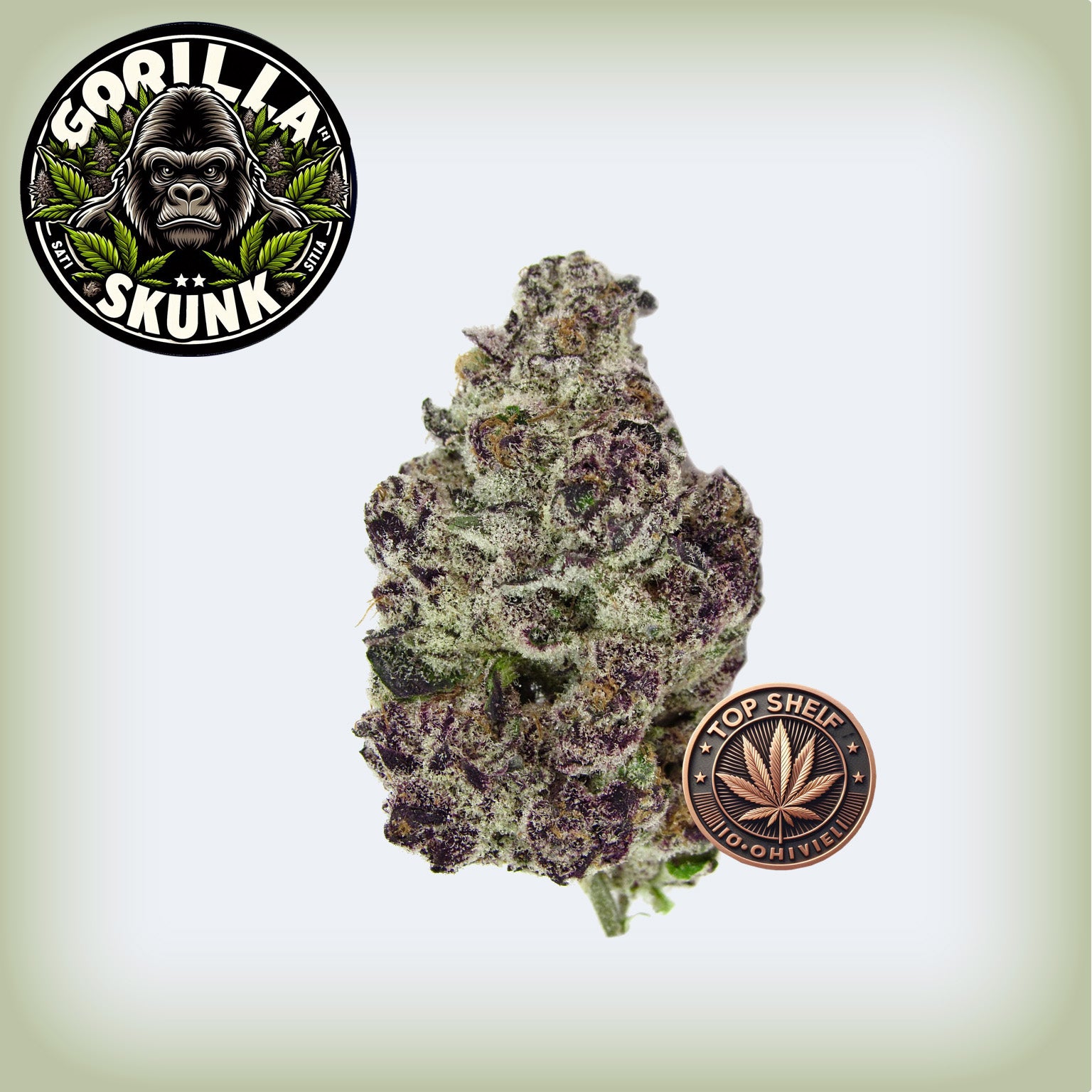 🦍Gorilla Skunk THCa