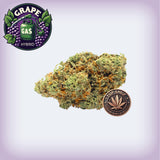 🍇 Grape Gas Premium Flower (OZ Sale)