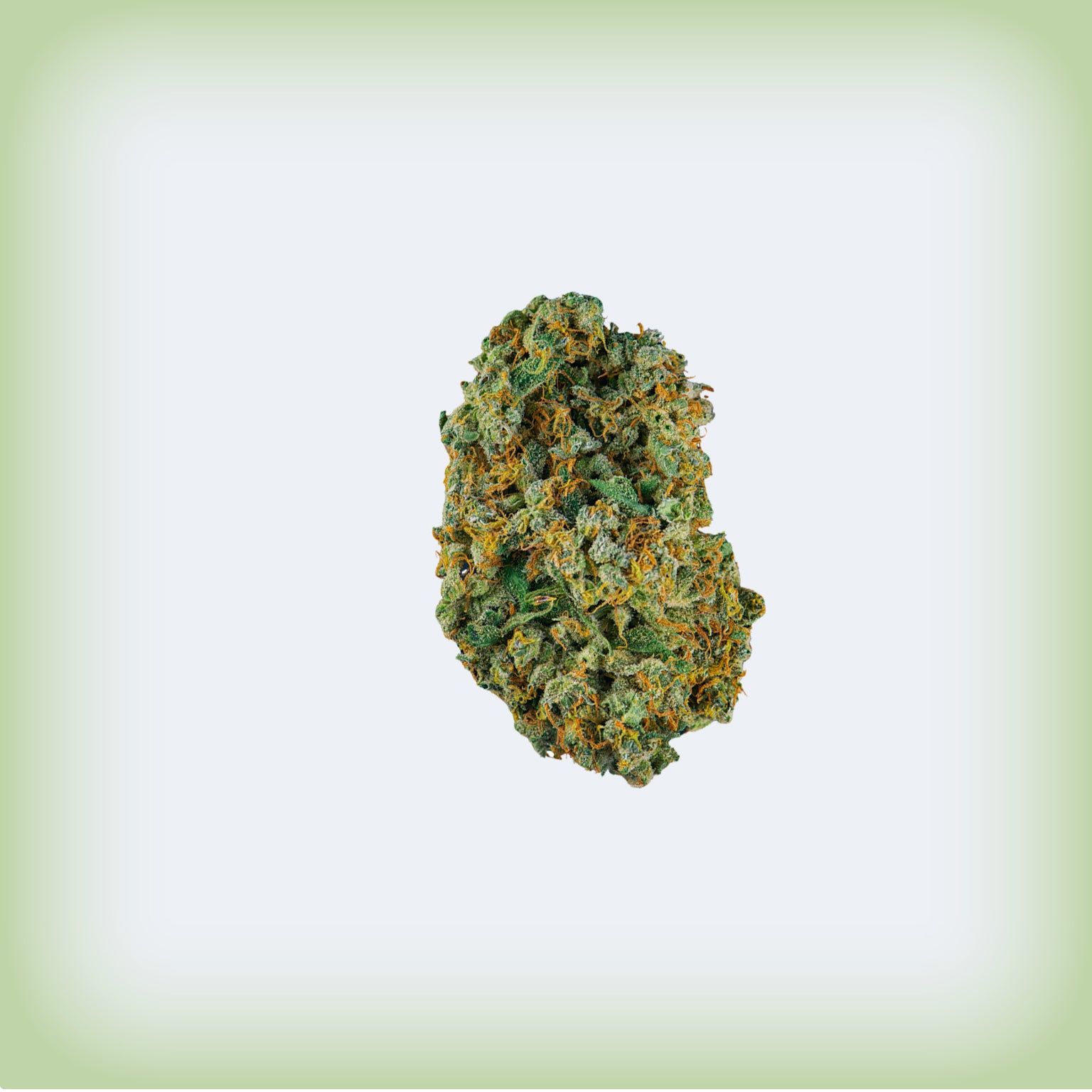 Jack Herer Premium Flower