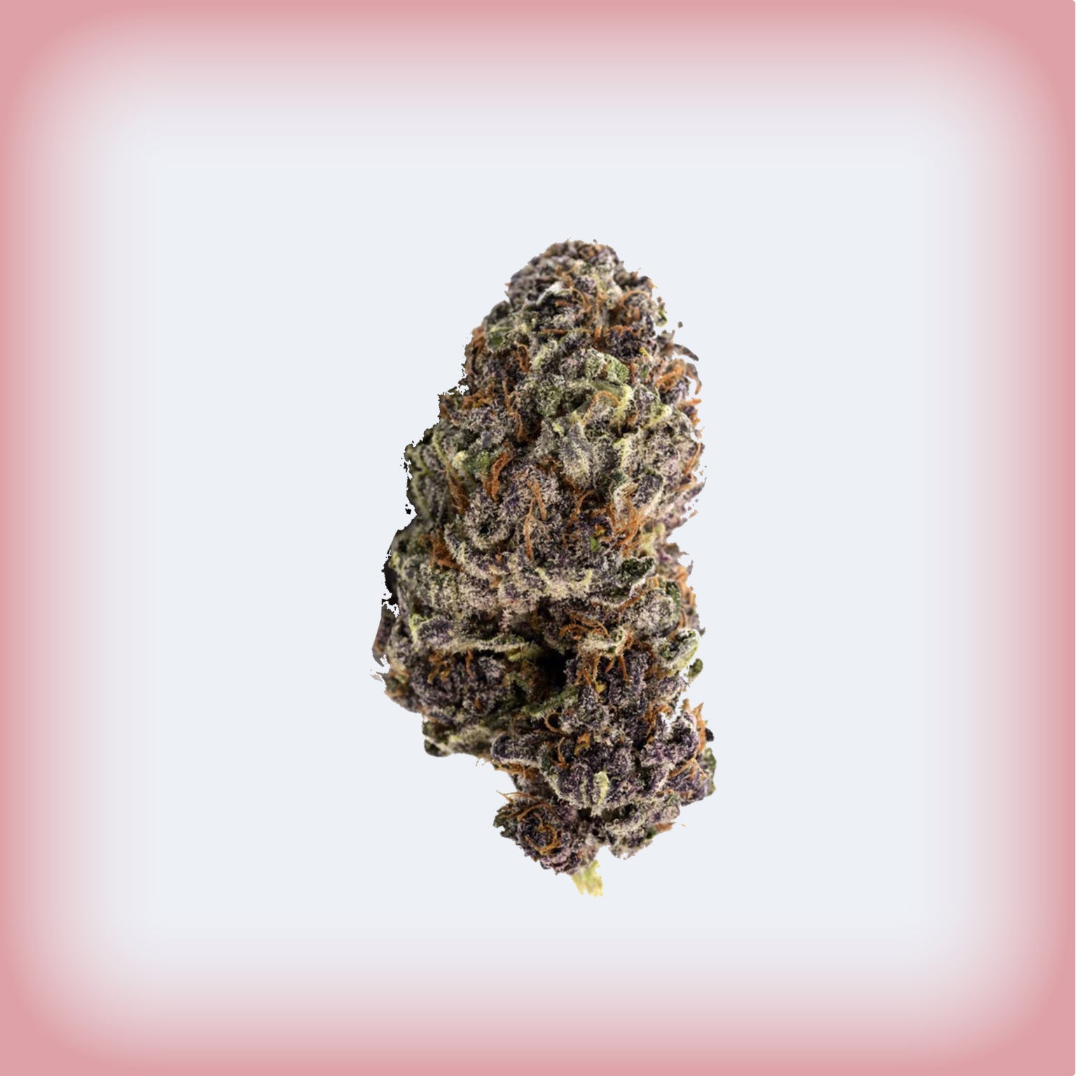 🍒 Tropicana Cherry THCa Ounce Sale