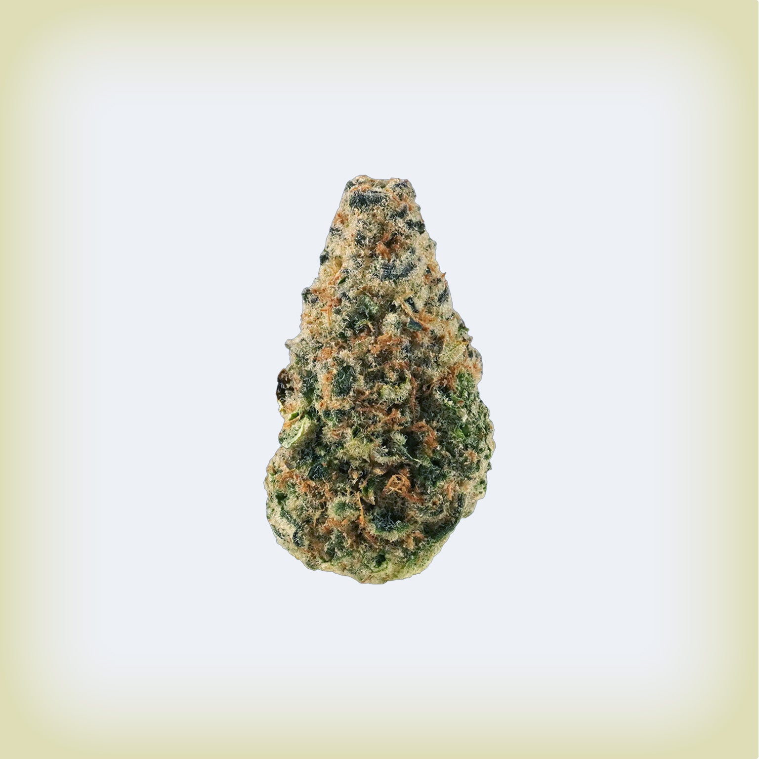 🍬 Sugar High Premium Flower
