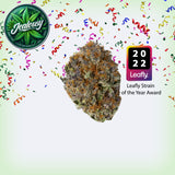 Jealousy Premium Flower