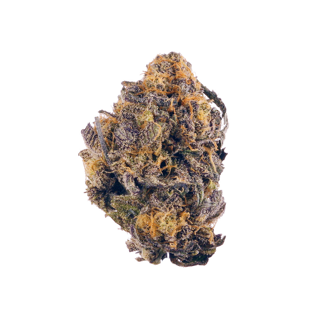 Purple Kush Feminized Seeds (2 Pack)