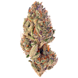 Tropicana Cookies THCa