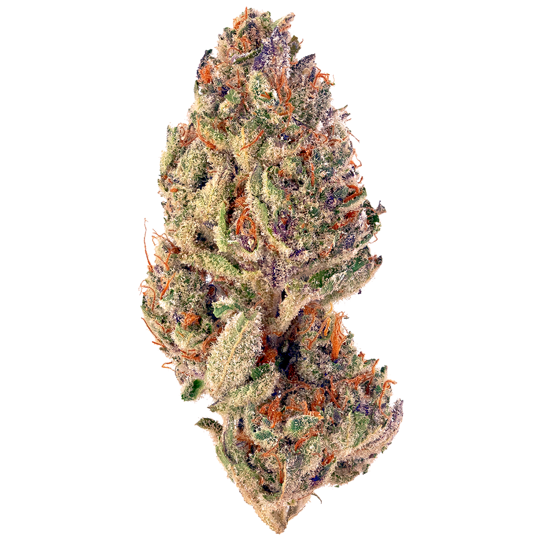 Tropicana Cookies Feminized Seeds