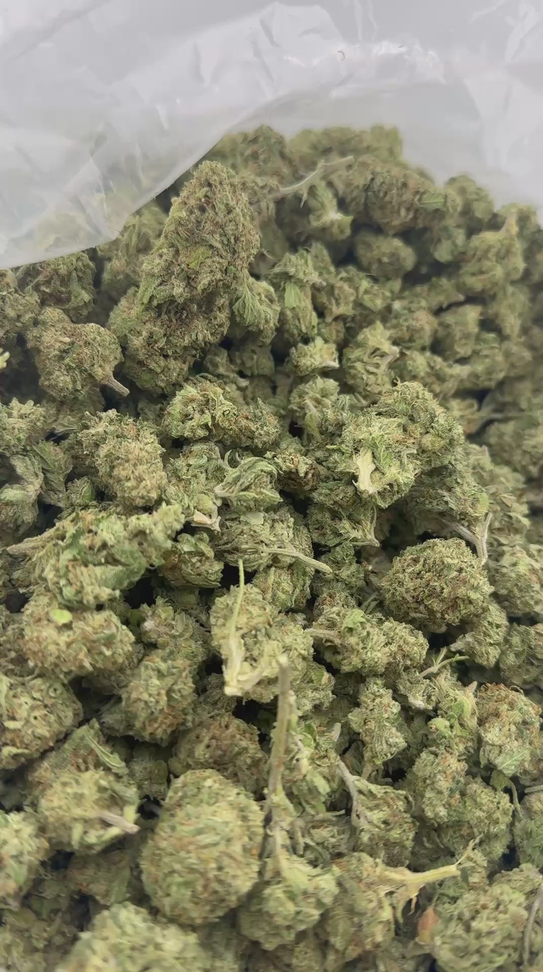🍇 Grape Gas Premium Flower (OZ Sale)