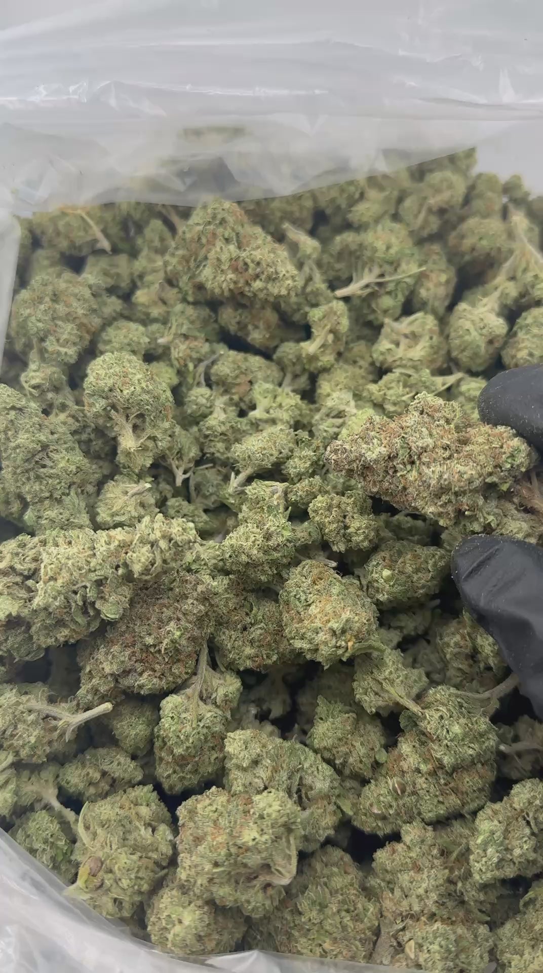 🎈 Runtz OG Premium Flower